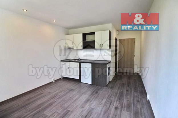 Prodej bytu 1+kk, Louny, Přemyslovců, 18 m2