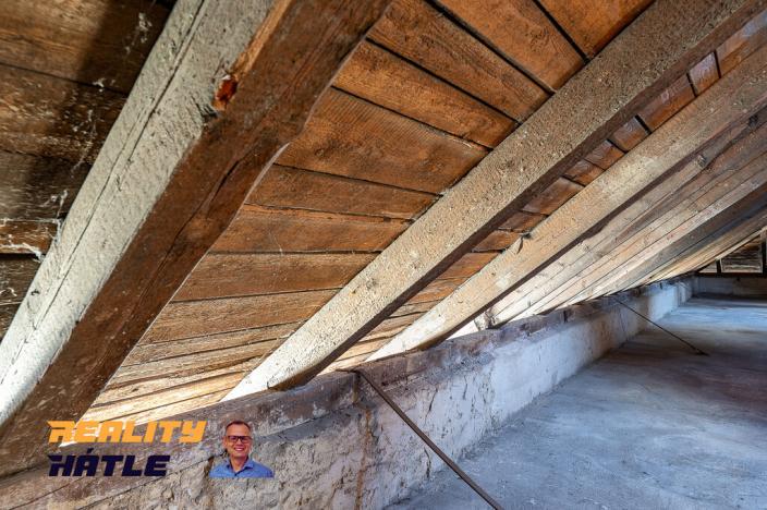 Prodej ubytování, Osečná - Druzcov, 510 m2