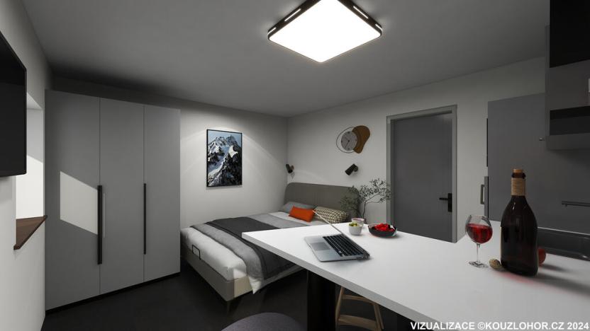 Prodej bytu 1+kk, Janov nad Nisou - Hrabětice, 18 m2