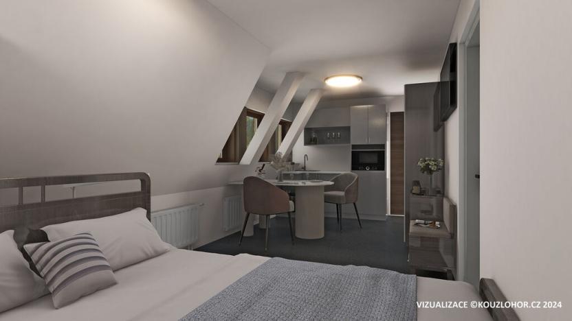 Prodej bytu 1+kk, Janov nad Nisou - Hrabětice, 24 m2