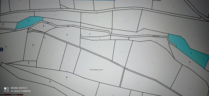 Prodej lesa, Milý, 7670 m2