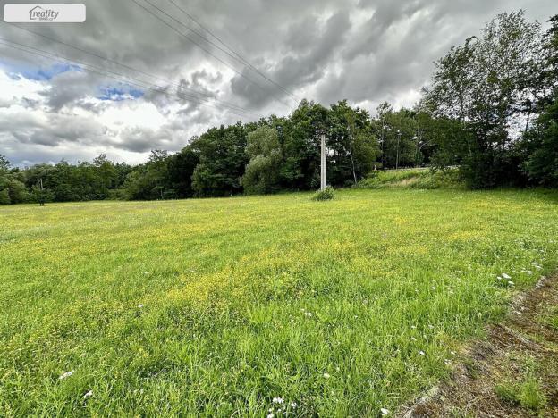 Prodej louky, Týn nad Vltavou, Hněvkovice na pravém břehu Vlt., 1648 m2