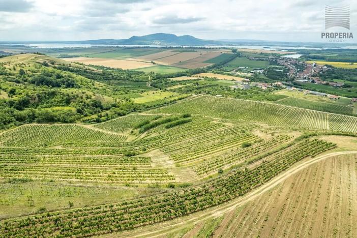 Prodej sadu/vinice, Pouzdřany, 1120 m2