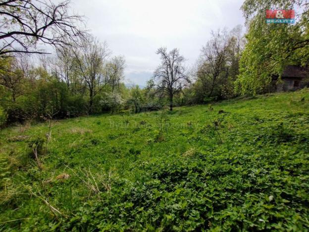 Prodej chaty, Jeseník nad Odrou - Hůrka, 38 m2