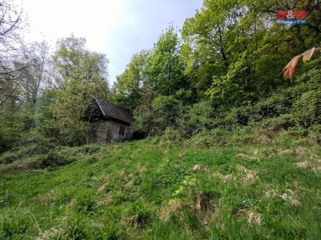 Prodej chaty, Jeseník nad Odrou - Hůrka, 38 m2