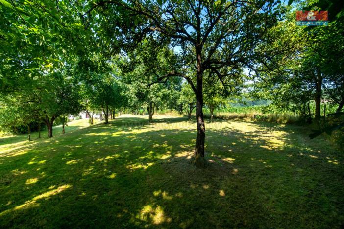 Prodej pozemku pro bydlení, Damníkov, 851 m2