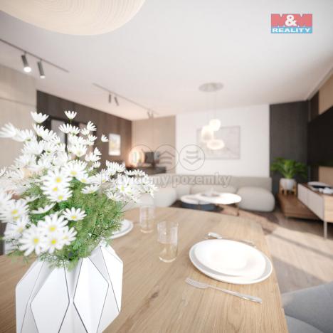 Prodej bytu 3+kk, Nový Jičín, Palackého, 90 m2