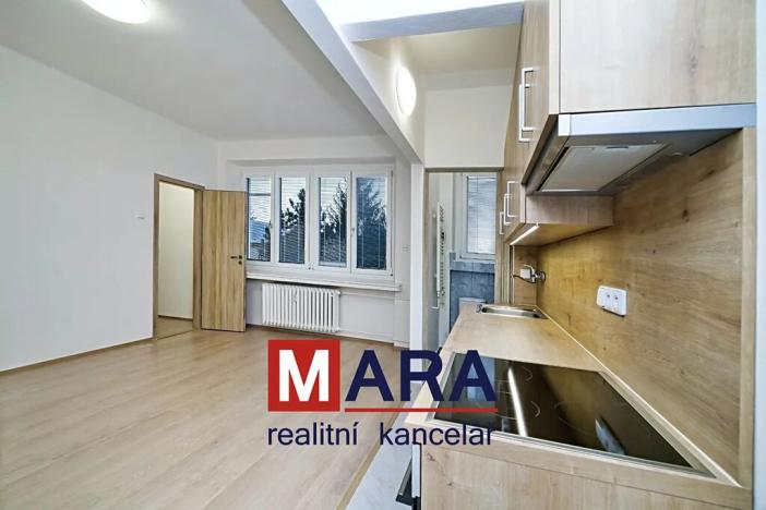 Pronájem bytu 1+kk, Přerov, Slaměníkova, 26 m2