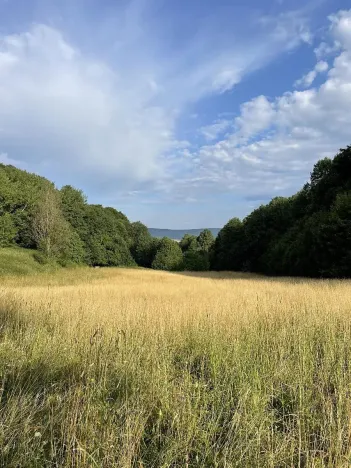 Prodej pozemku, Útěchov, 50152 m2