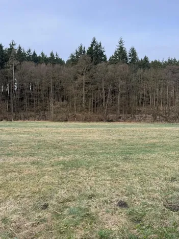 Prodej pozemku, Sloup, 4755 m2