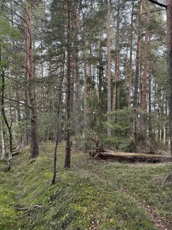 Prodej pozemku, Slavče, 13051 m2