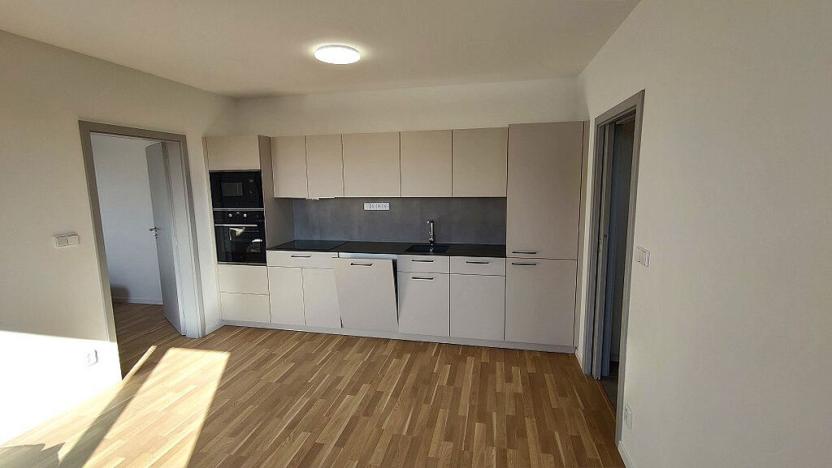 Prodej bytu 2+kk, Strakonice - Strakonice II, Dukelská, 47 m2
