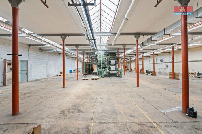 Prodej výrobních prostor, Bílá Třemešná, 6921 m2