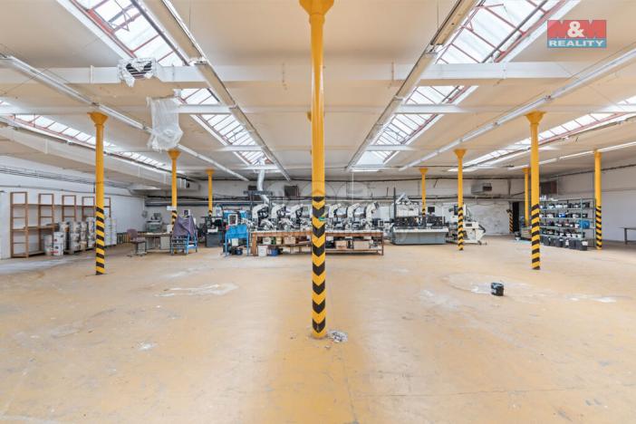 Prodej výrobních prostor, Bílá Třemešná, 6921 m2