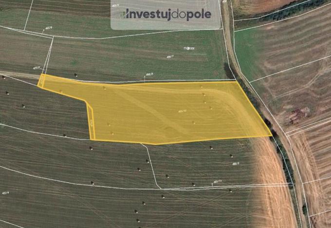 Prodej pole, Dolany, 16500 m2