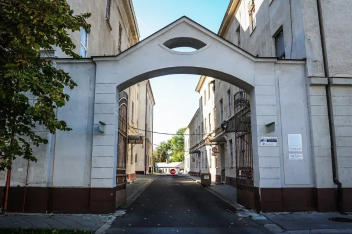 Pronájem výrobních prostor, Hodonín, Bratislavská, 2800 m2