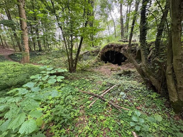 Prodej podílu pozemku pro bydlení, Kacanovy, 25219 m2