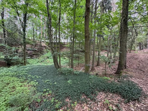 Prodej podílu pozemku pro bydlení, Kacanovy, 25219 m2