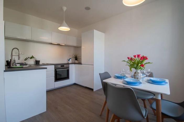 Pronájem bytu 2+kk, Praha - Vinohrady, Perucká, 42 m2