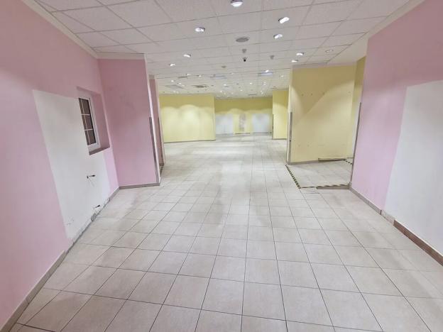 Pronájem obchodního prostoru, Praha - Libeň, Zenklova, 348 m2