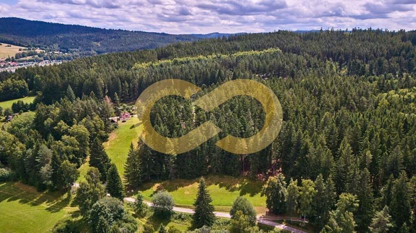 Prodej pozemku pro bydlení, Přední Výtoň, 2152 m2