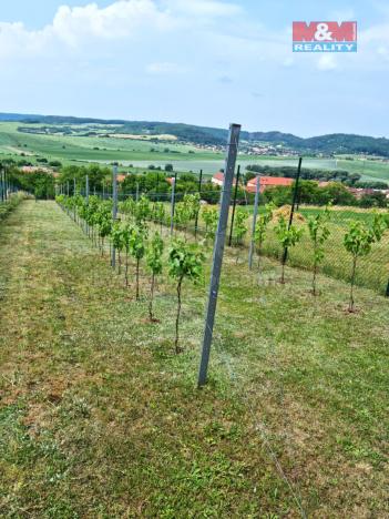 Prodej zahrady, Čebín, 1263 m2