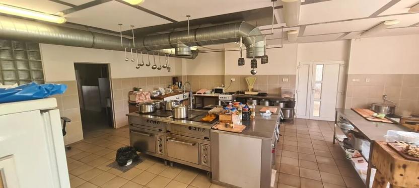 Prodej výrobních prostor, Děčín, Vítězství, 12815 m2