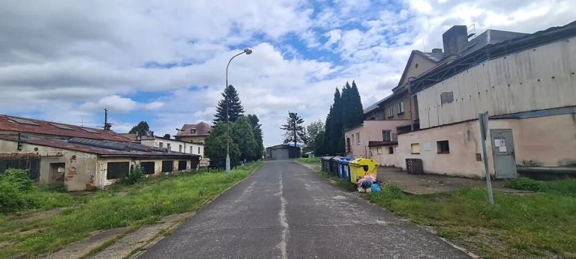 Prodej výrobních prostor, Děčín, Vítězství, 12815 m2