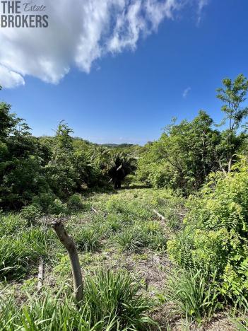 Prodej pozemku, Coxen Hole, Roatán, Honduras, 716 m2