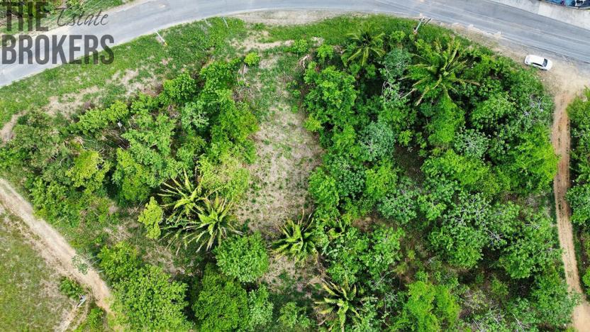 Prodej pozemku, Coxen Hole, Roatán, Honduras, 716 m2