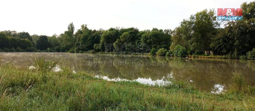 Prodej zahrady, Hoštka, 1330 m2