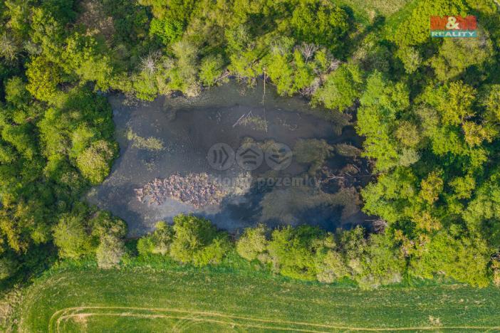 Prodej rybníku, Obory, 16271 m2