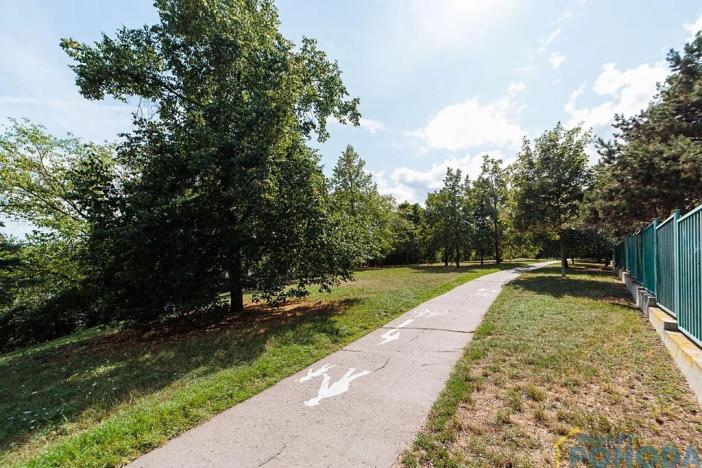 Prodej bytu 2+1, Praha - Žižkov, Biskupcova, 69 m2