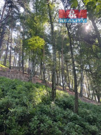 Prodej lesa, Mírová pod Kozákovem - Sekerkovy Loučky, 5461 m2