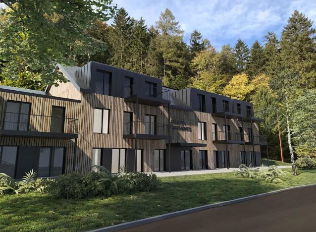 Prodej bytu 1+kk, Javorník, 20 m2