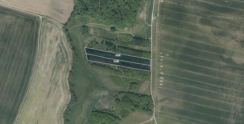 Prodej louky, Lázně Bělohrad, 10575 m2