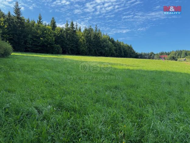 Prodej louky, Kořenov - Rejdice, 7880 m2