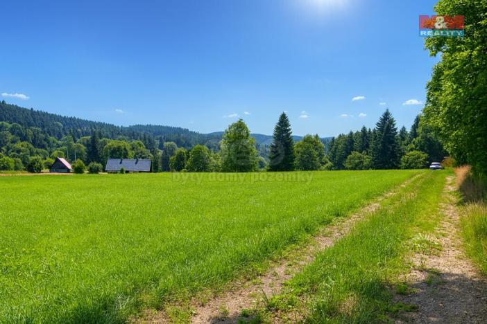 Prodej louky, Kořenov - Rejdice, 7880 m2