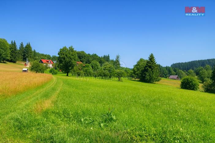 Prodej louky, Kořenov - Rejdice, 7880 m2