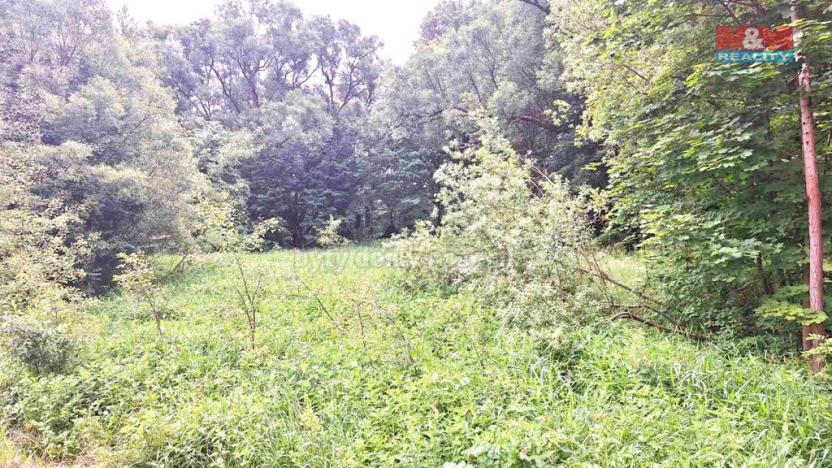 Prodej louky, Česká Lípa - Manušice, 8523 m2