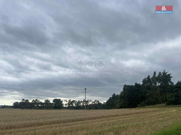 Prodej lesa, Tři Dvory, 4321 m2