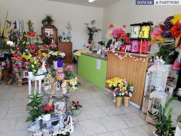 Pronájem obchodního prostoru, Orlová, Slezská, 54 m2