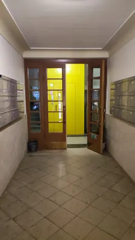 Pronájem bytu 2+kk, Praha - Žižkov, Baranova, 56 m2