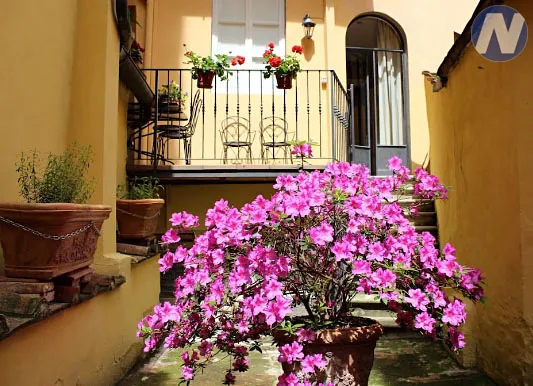 Prodej vily, Monte San Savino, Itálie, 638 m2