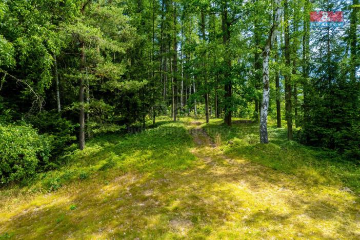 Prodej pozemku, Dlouhý Most, 8531 m2