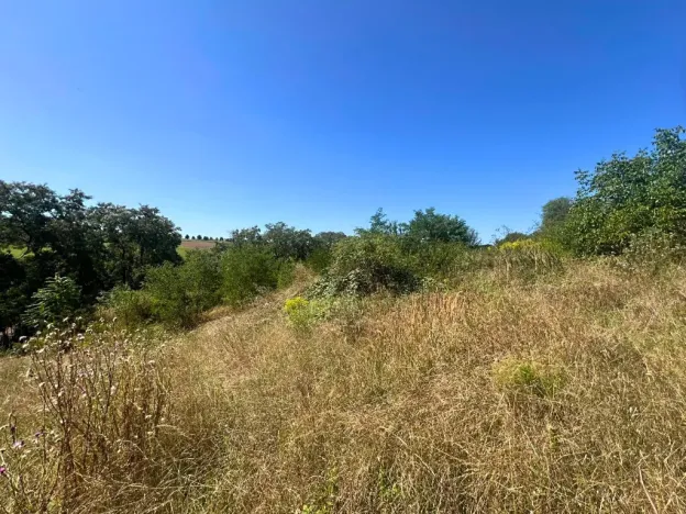 Prodej pozemku pro bydlení, Úholičky, 800 m2