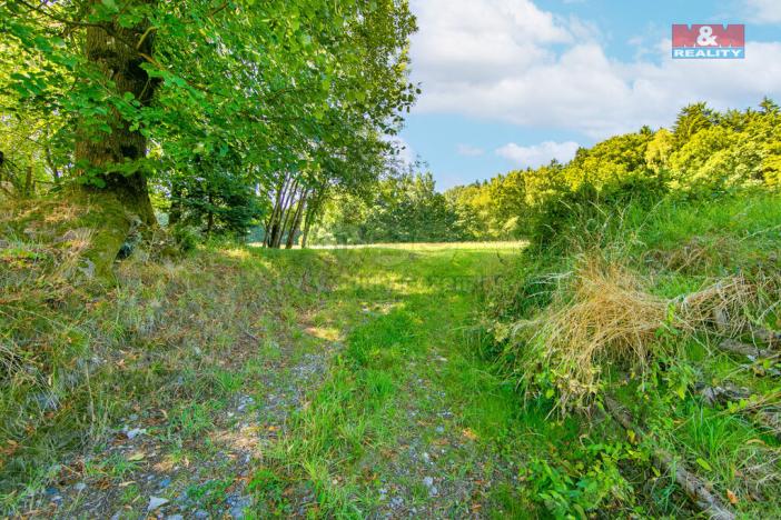 Prodej pozemku pro bydlení, Pec, 7125 m2