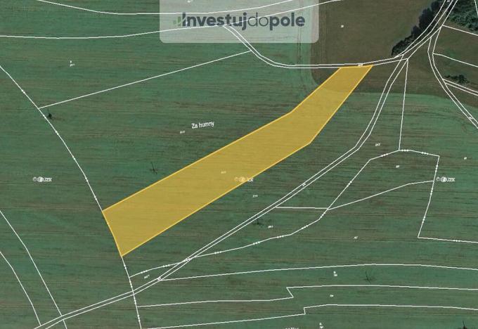 Prodej pole, Pavlíkov - Ryšín, 5405 m2