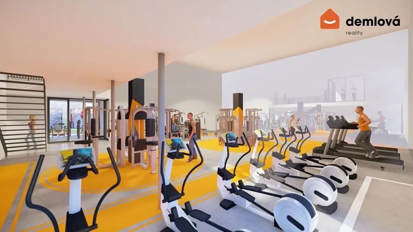 Pronájem komerční nemovitosti, Orlová, Polní, 435 m2