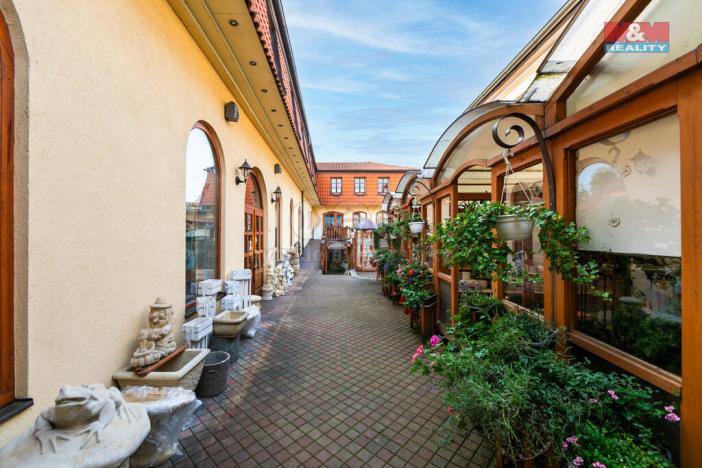 Pronájem obchodního prostoru, Domažlice - Dolejší Předměstí, Husova třída, 600 m2